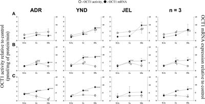 The effect of pregnancy-related hormones on hepatic transporters: studies with premenopausal human hepatocytes